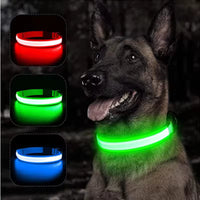 USB Rechargeable LED Dog Collar – Waterproof, High Visibility