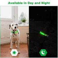 USB Rechargeable LED Dog Collar – Waterproof, High Visibility