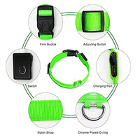 USB Rechargeable LED Dog Collar – Waterproof, High Visibility