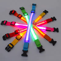 USB Rechargeable LED Dog Collar – Waterproof, High Visibility