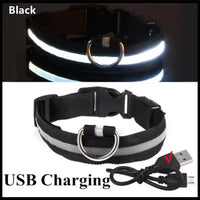 USB Rechargeable LED Dog Collar – Waterproof, High Visibility