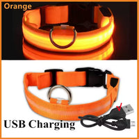 USB Rechargeable LED Dog Collar – Waterproof, High Visibility