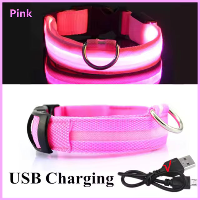 USB Rechargeable LED Dog Collar – Waterproof, High Visibility