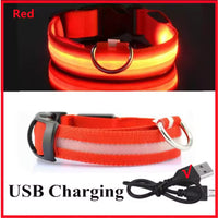 USB Rechargeable LED Dog Collar – Waterproof, High Visibility