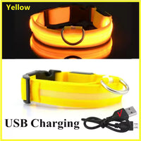 USB Rechargeable LED Dog Collar – Waterproof, High Visibility