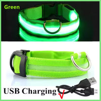 USB Rechargeable LED Dog Collar – Waterproof, High Visibility