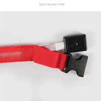 USB Rechargeable LED Dog Collar – Waterproof, High Visibility
