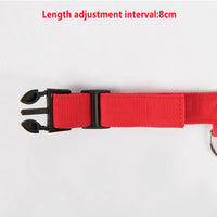 USB Rechargeable LED Dog Collar – Waterproof, High Visibility