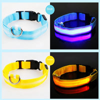 USB Rechargeable LED Dog Collar – Waterproof, High Visibility