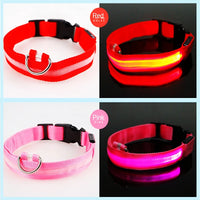 USB Rechargeable LED Dog Collar – Waterproof, High Visibility