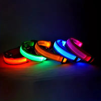 USB Rechargeable LED Dog Collar – Waterproof, High Visibility