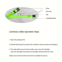USB Rechargeable LED Dog Collar – Waterproof, High Visibility