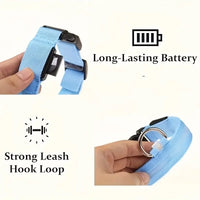 USB Rechargeable LED Dog Collar – Waterproof, High Visibility