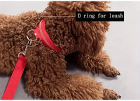 USB Rechargeable LED Dog Collar – Waterproof, High Visibility