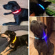 USB Rechargeable LED Dog Collar – Waterproof, High Visibility