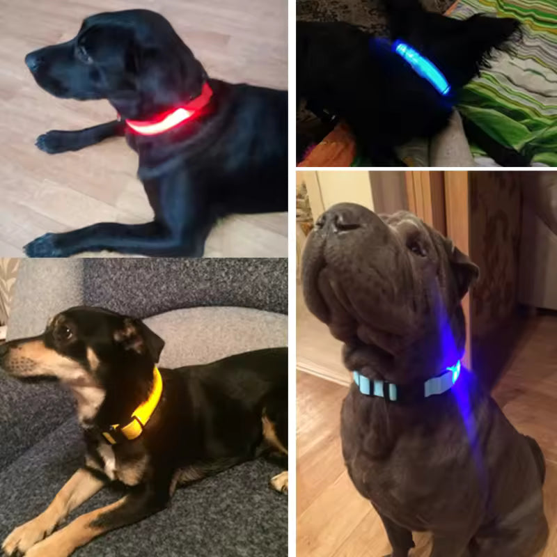 USB Rechargeable LED Dog Collar – Waterproof, High Visibility