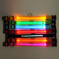 USB Rechargeable LED Dog Collar – Waterproof, High Visibility