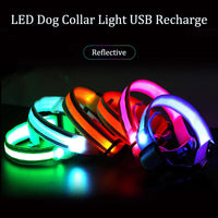 USB Rechargeable LED Dog Collar – Waterproof, High Visibility