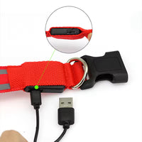 USB Rechargeable LED Dog Collar – Waterproof, High Visibility