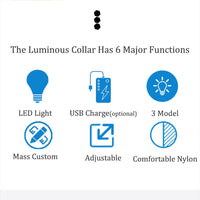 USB Rechargeable LED Dog Collar – Waterproof, High Visibility