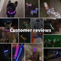 USB Rechargeable LED Dog Collar – Waterproof, High Visibility